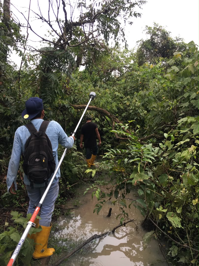 Engineering survey team in field
